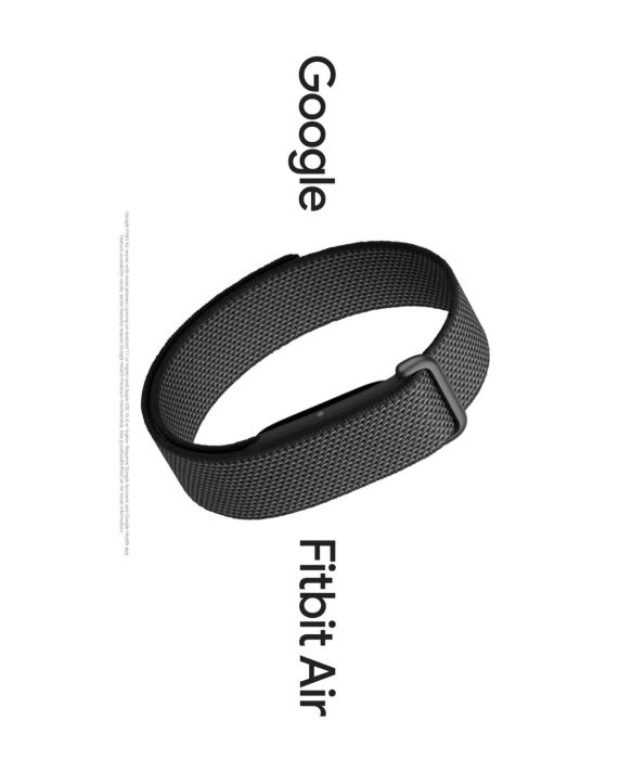 Google Fitbit Air